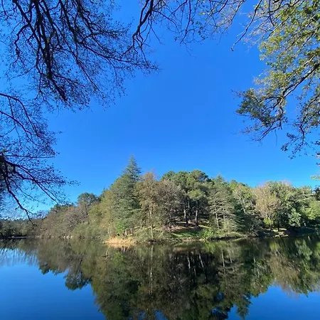 El Rincon Del Marques Appartement Las Navas del Marqués Buitenkant foto